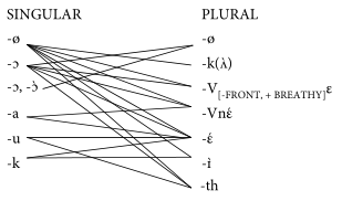 luwo-classes.png