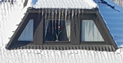 iciclerow.jpg